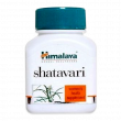 Shatavari 60 Caps